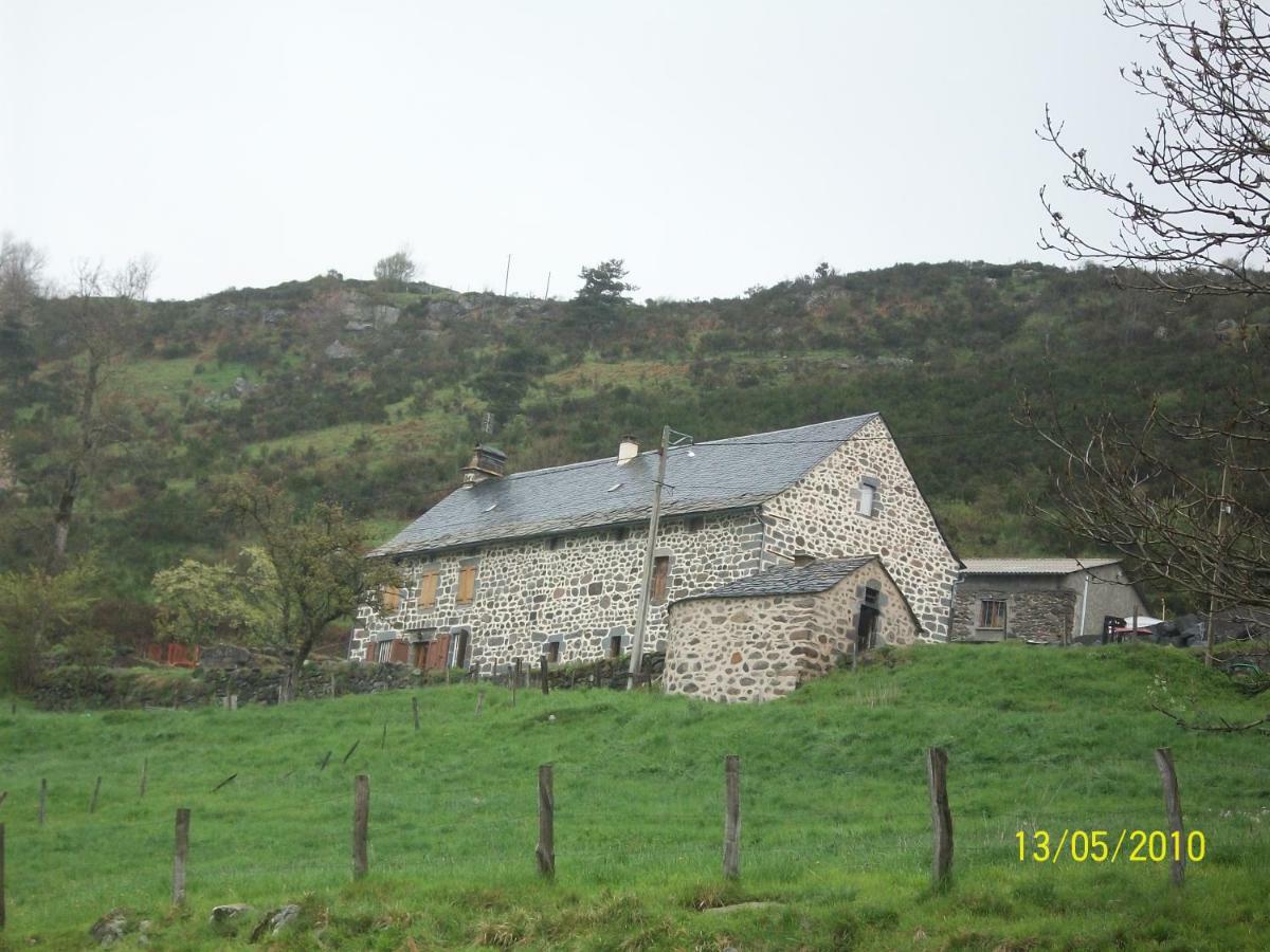 Vacances Au Pied Des Monts Du Cantal Laveissière Exterior foto